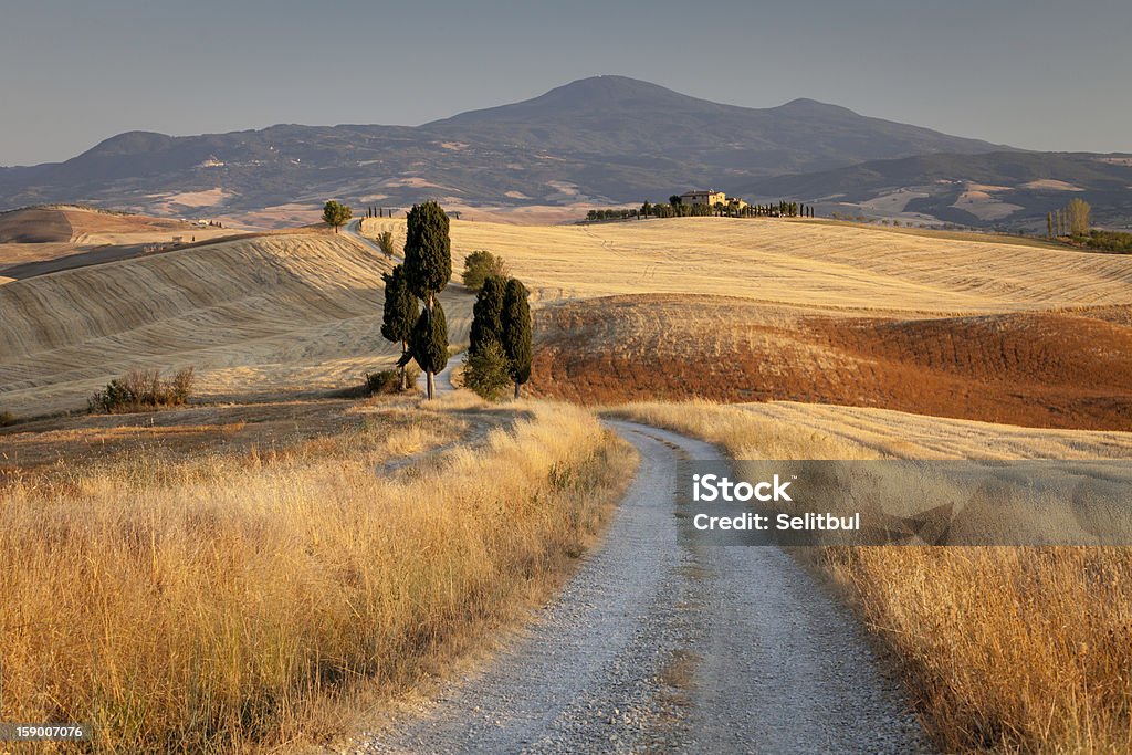 トスカーナの田園風景、イタリアの夕暮れ - なだらかな起伏のある地形のロイヤリティフリーストックフォト