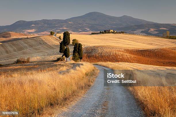 トスカーナの田園風景イタリアの夕暮れ - なだらかな起伏のある地形のストックフォトや画像を多数ご用意 - なだらかな起伏のある地形, イタリア, イトスギ