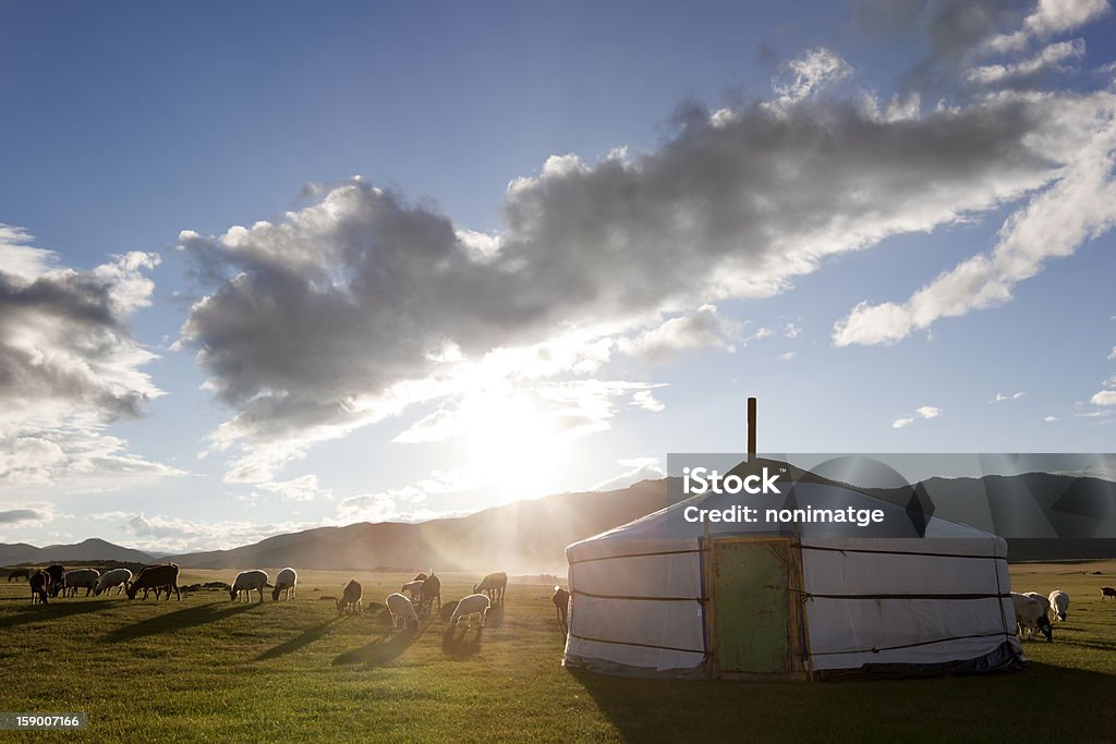 Dawn in a Ger. Mongolia The sun rises in the Orkhon Valley while lambs graze freely Independent Mongolia Stock Photo