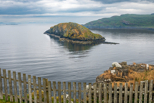 Scenic coastline in the Isle of Skye, Scotland with fence on hill overlooking the ocean and small island.