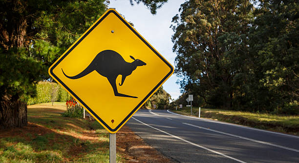 Kangaroo Road Warning Sign Kangaroo Road Warning Sign kangaroo crossing sign stock pictures, royalty-free photos & images