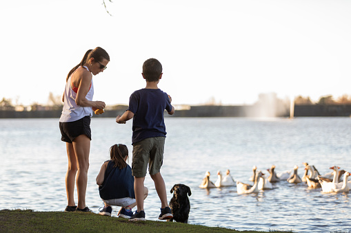 Mother and two children feeding the ducks in the lake - Buenos Aires - Argentina