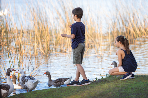 Two children feeding the ducks in the lake - Buenos Aires - Argentina