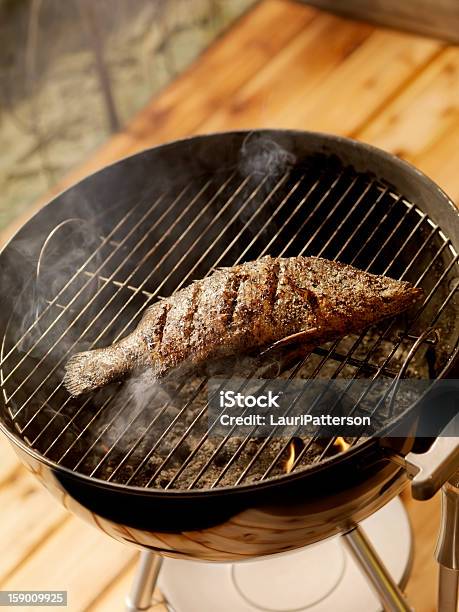 Pesce Antracite Su Un Barbecue Posizione - Fotografie stock e altre immagini di Accendino - Accendino, Alimentazione sana, Alla griglia