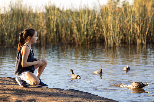 Girl feeding ducks by the lake - Buenos Aires - Argentina