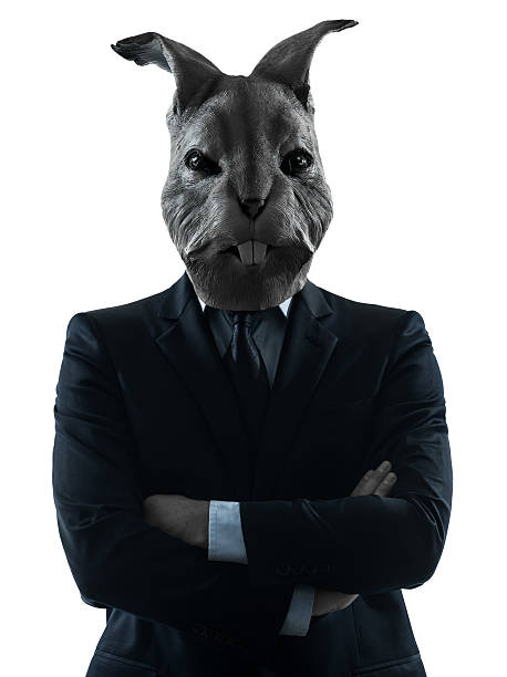 man with rabbit mask silhouette portrait