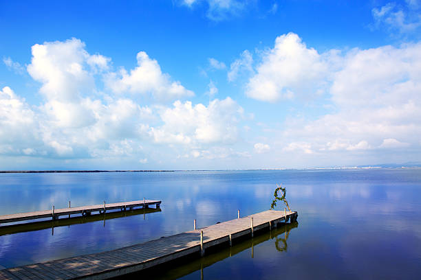 istock Albufera lake in Valencia El Saler 159011741