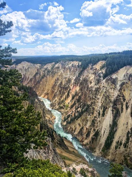 Yellowstone Canyon Processed with VSCO with fv5 preset grand canyon of yellowstone river stock pictures, royalty-free photos & images