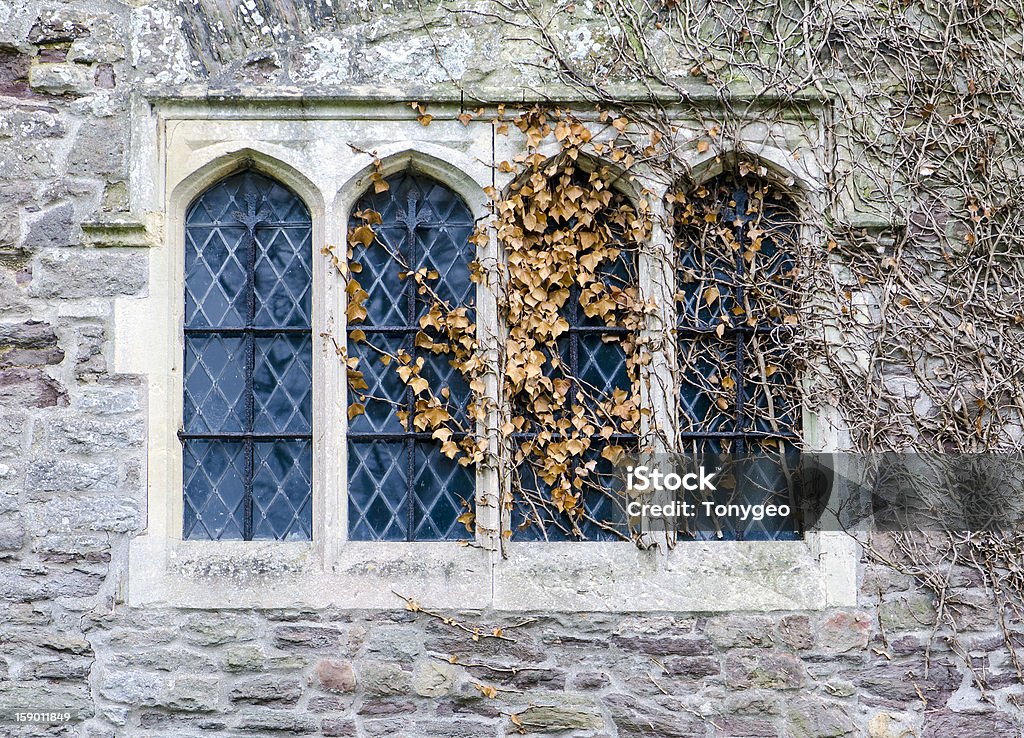 tudor finestra con Edera morto - Foto stock royalty-free di Autunno