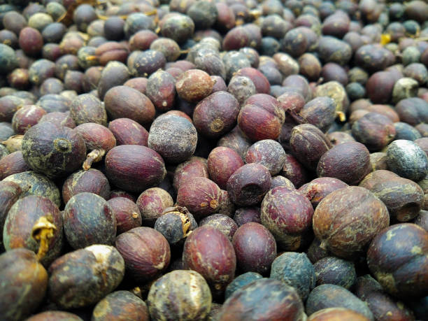 istock Dry raw coffee beans that are dried by natural processes 1590121305