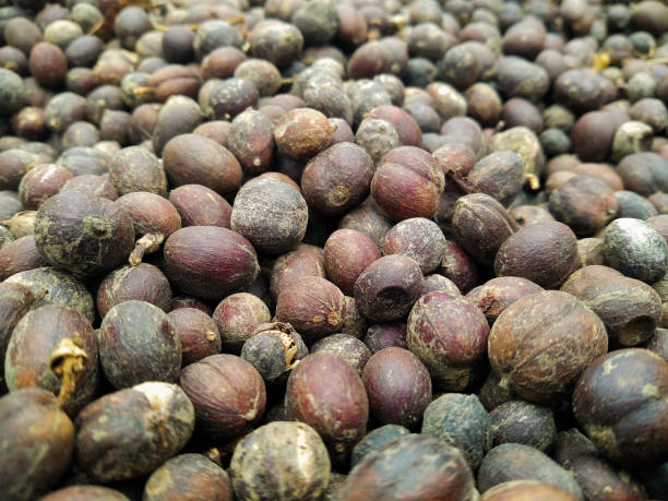 istock Raw coffee beans dried with natural processes 1590122396