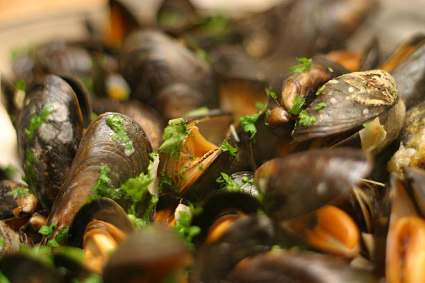 Mussels Cooking in White Wine Sauce Mussels fresh from the sea cooking in white wine sauce and parsley moules frites stock pictures, royalty-free photos & images