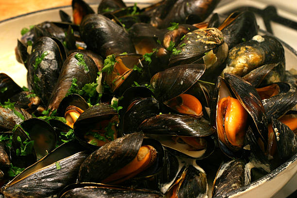 Mussels Mussels cooking in White Wine Sauce moules frites stock pictures, royalty-free photos & images