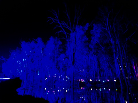 Laser light show lights up trees on the Murray river in Moama NSW