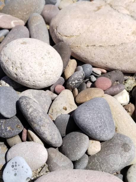 istock Variety of stones on the seashore 1590137838