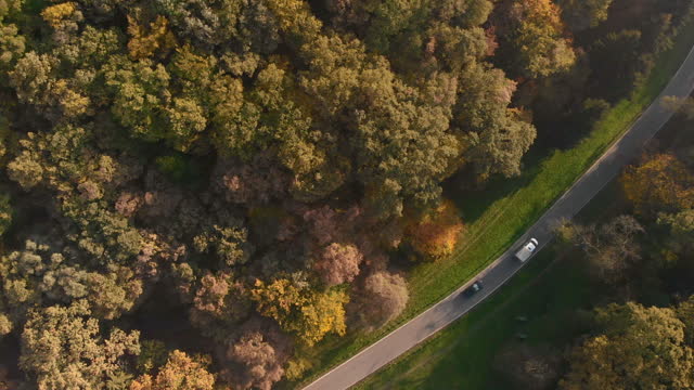 Aerial view of a winding road in the autumn forest