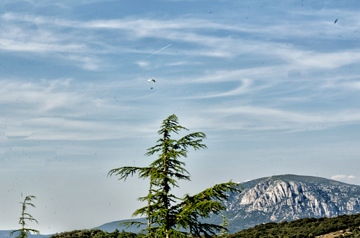 This photograph was taken on June 16, 2023 in the Cathar country (France). On the way to Maury, this place, Quéribus, is one of the emblematic places of the Cathar Country. A vertiginous citadel, its strategic position on a rocky outcrop made it possible to monitor the border with Aragon. With its impressive panorama, this site is a must-see.