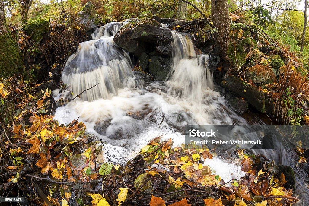 Autunno creek - Foto stock royalty-free di Acqua corrente