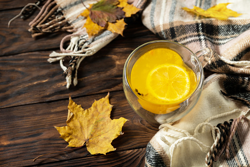 Autumn concept with drink, creative flat lay. Cup of hot sea ââââbuckthorn tea with lemon, warm scarf and maple leaves on rustic background. Copy space.