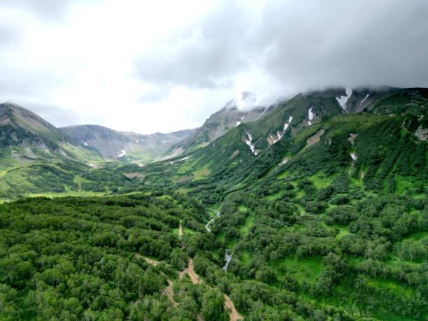 istock Nature Forest Rainforest Clouds Mountains Hills Trees Green Landscape Asia 1590188534