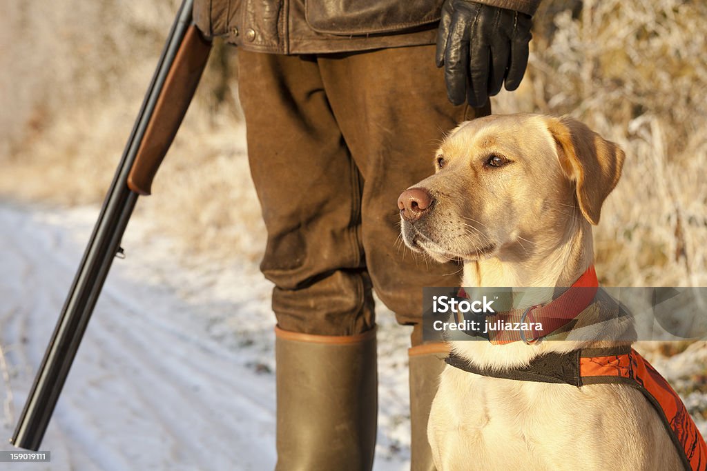 Jäger mit Hund - Lizenzfrei Apportierhund Stock-Foto