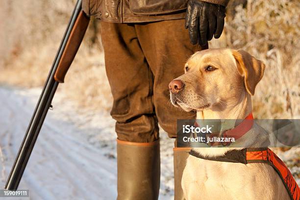 Jäger Mit Hund Stockfoto und mehr Bilder von Apportierhund - Apportierhund, Jagd, Jäger