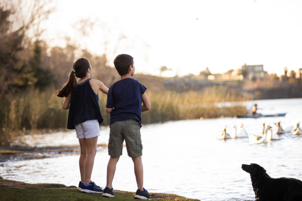 istock Two children feeding the ducks in the lake 1590203114