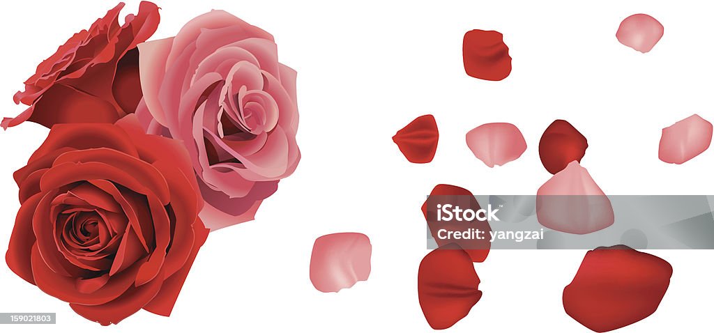 Pétalas de rosa com caída - Vetor de Amor royalty-free