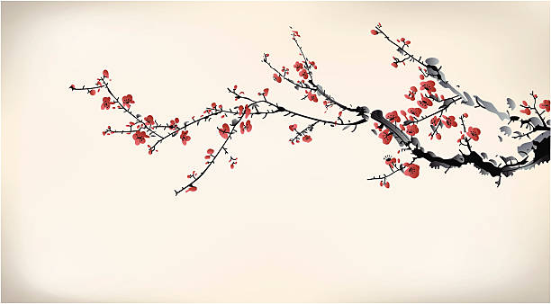 tinta musim dingin manis - bunga sakura ilustrasi stok