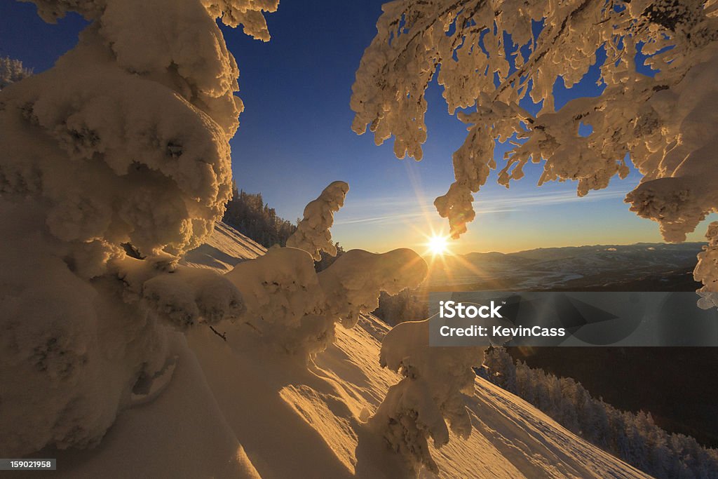 Inverno ao amanhecer - Foto de stock de Jackson Hole royalty-free