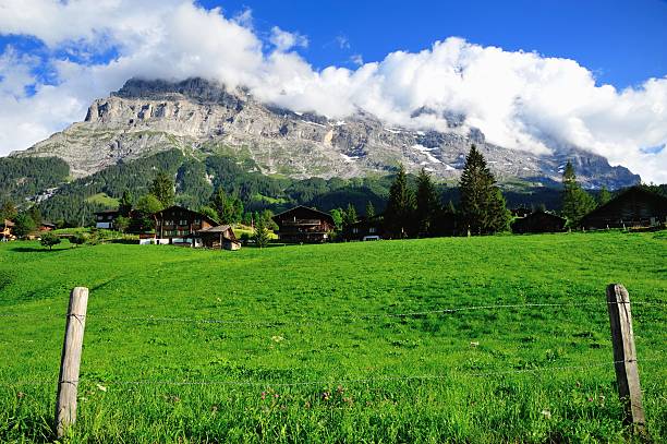 vista da montanha na suíça - eiger jungfrau monk panoramic imagens e fotografias de stock