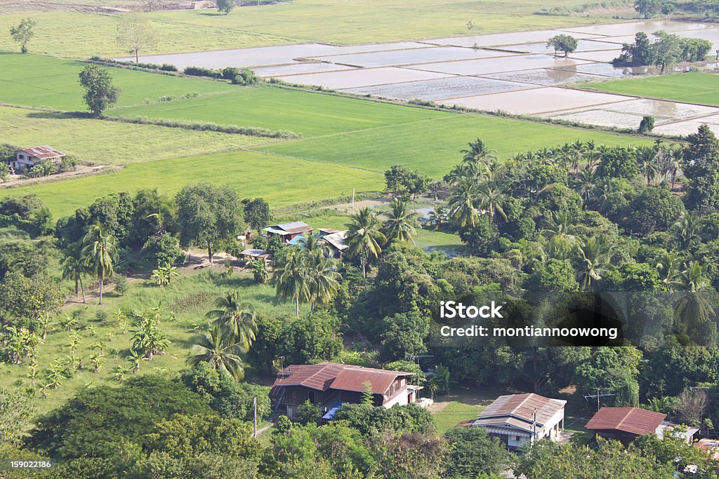 Hogar para la agricultura en Tailandia. - Foto de stock de Agricultura libre de derechos