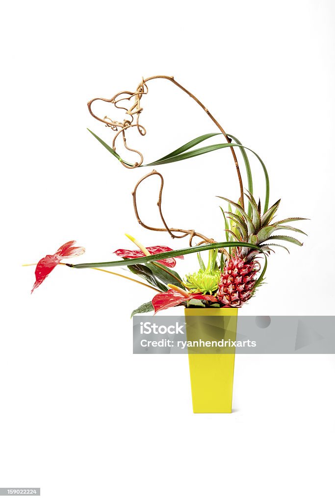 Modernen tropischen Blumen in der Vase Gelb - Lizenzfrei Blume Stock-Foto