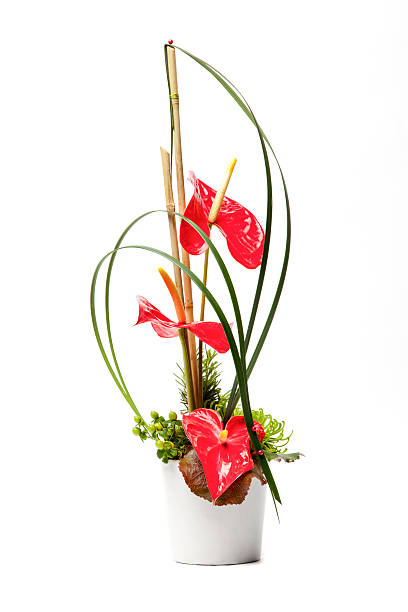 Minimalistyczny czerwony i zielony kwiatowy układ – zdjęcie