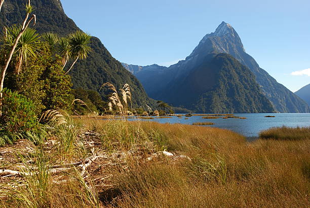 Sol de outono em Milford Sound, na Nova Zelândia - foto de acervo