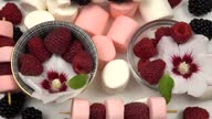 istock Small   bowls with flowers of mallow tree and raspberries, berry kebabs with marshmallow are on a white table for picnic and party. 1590229566