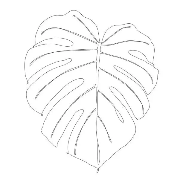 Vector illustration of Monstera or Swiss Cheese Plant Leaf Continuous Line Drawing with Editable Stroke