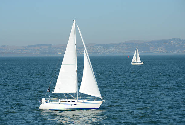 istock Sailing in the San Francisco Bay 159024476