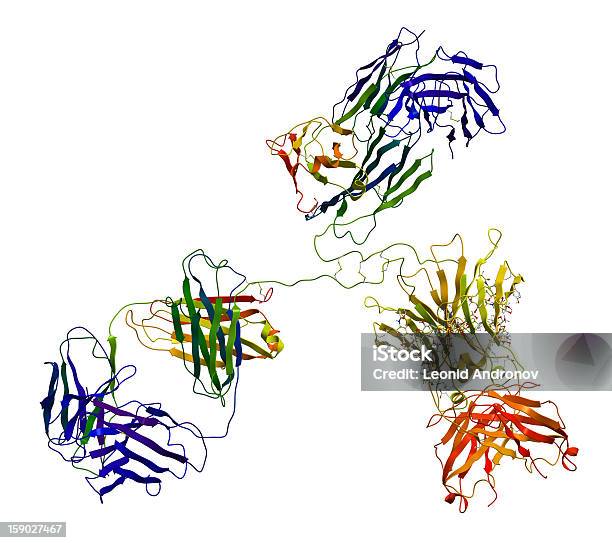 Immunoglobulin 分子 - 白背景のストックフォトや画像を多数ご用意 - 白背景, 分子, たんぱく質