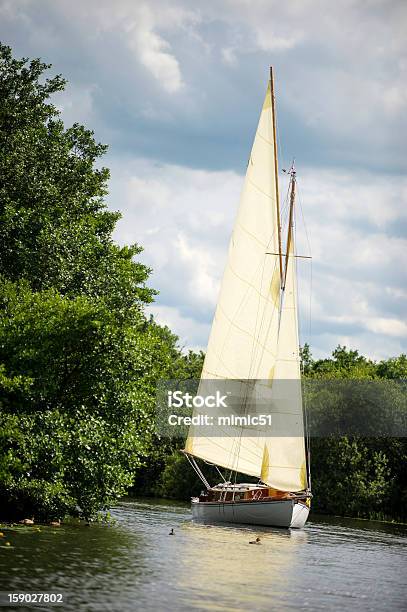 Photo libre de droit de Norfolk Broads Bateau À Voile Sur La Rivière banque d'images et plus d'images libres de droit de Angleterre - Angleterre, Arbre, Bois