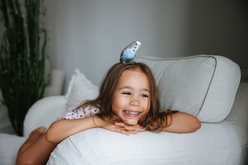 Young Girl Playing With Blue and White Pet Budgerigar In Her Bedroom