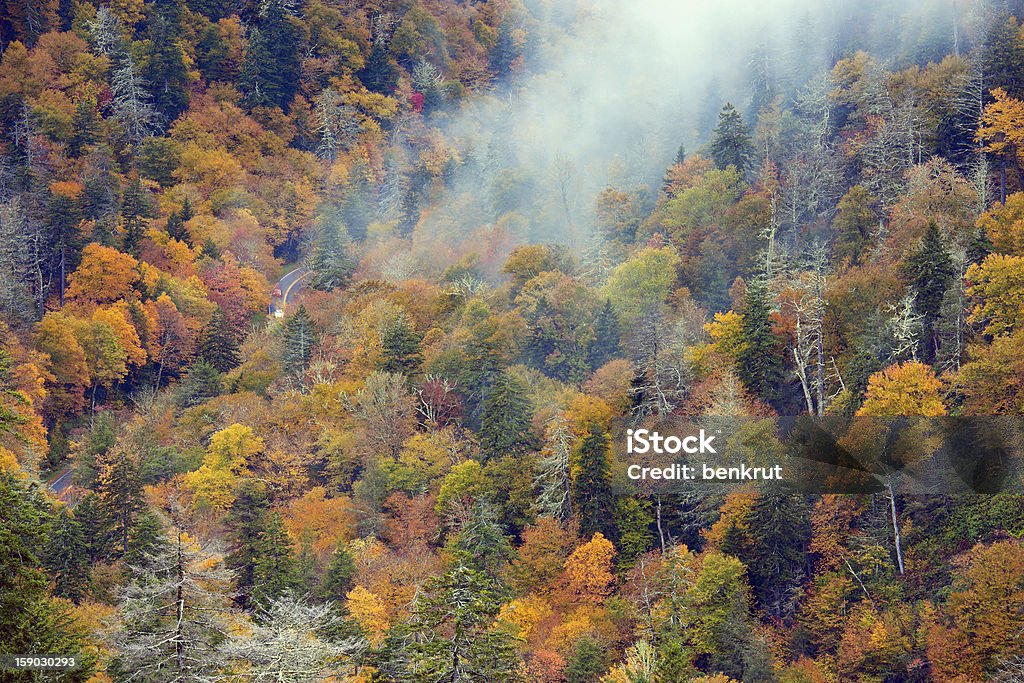 Mañana en cadena montañosa Smoky Mountains - Foto de stock de Aire libre libre de derechos