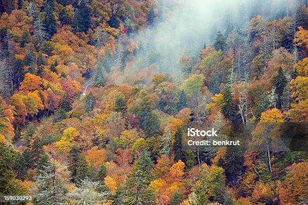 Mañana En Cadena Montañosa Smoky Mountains Foto de stock y más banco de imágenes de Aire libre - Aire libre, Appalachia, Colorido