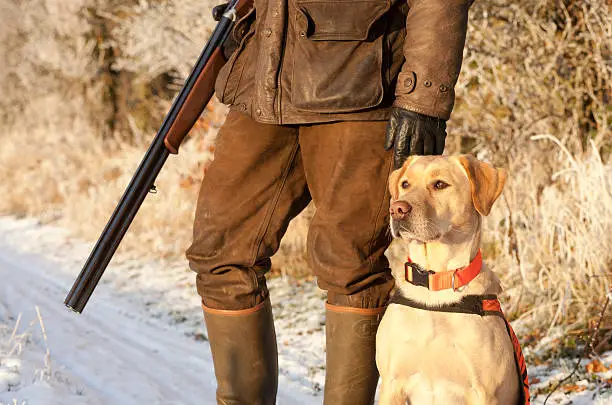 Photo of A hunter standing with his gun and dog