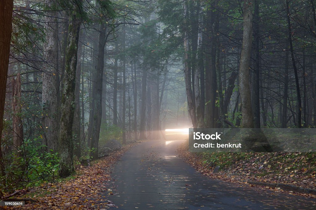 Jazda w fog - Zbiór zdjęć royalty-free (Appalachy)