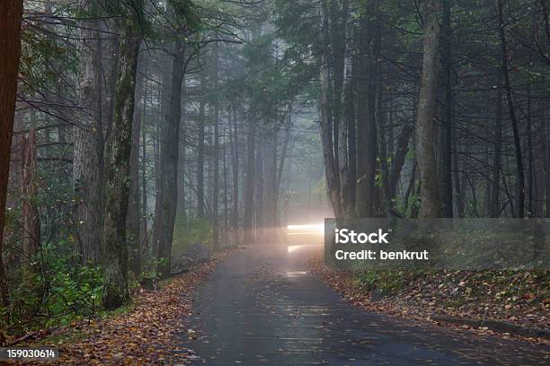 Foto de Dirigindo Na Neblina e mais fotos de stock de Appalachia - Appalachia, Carro, Destino turístico