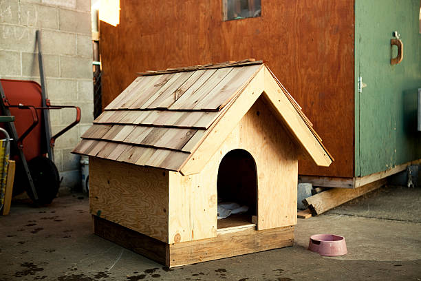Casa de Cachorro de Madeira - fotografia de stock
