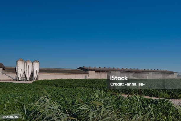 Photo libre de droit de Silos banque d'images et plus d'images libres de droit de Agriculture - Agriculture, Blanc, Bleu