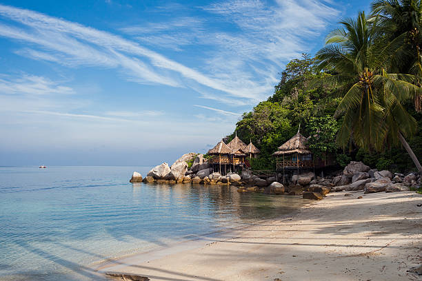 istock Sandy beach on the island 159033026