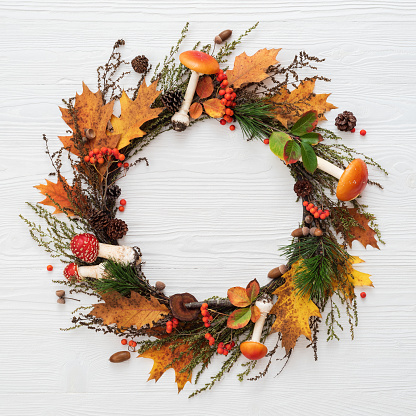 Autumnal Wreath Frame on White Background with Copy Space